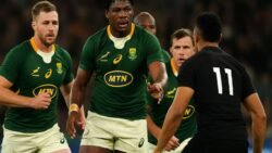 Springboks Shake Up Backline for Test Rematch With New Zealand